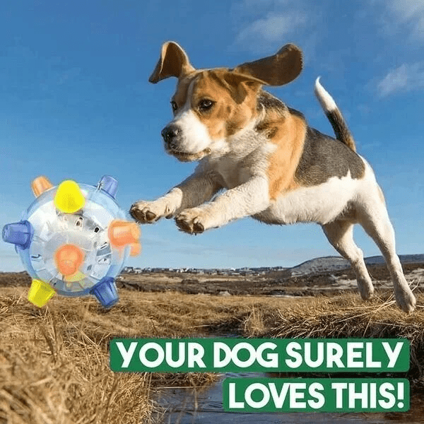 PAWBOUNCE – Bola de Salto LED Interativa para Cães