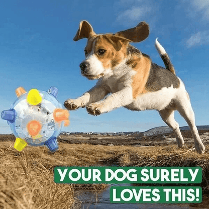 PAWBOUNCE – Bola de Salto LED Interativa para Cães