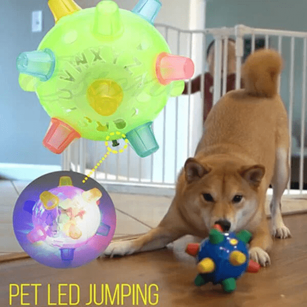 PAWBOUNCE – Bola de Salto LED Interativa para Cães