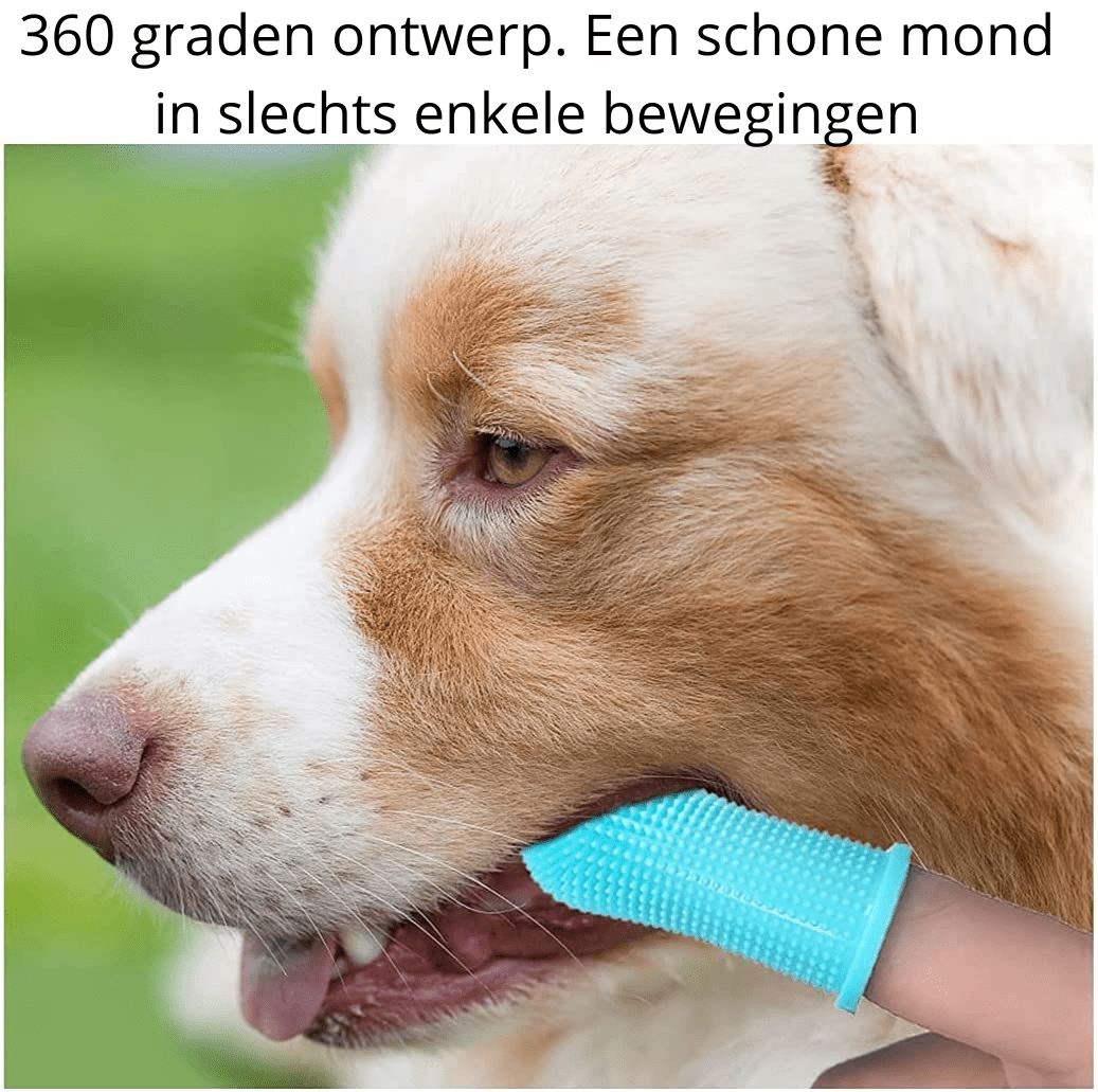  PawClean Pro-360 ° silicone finger toothbrush for safe dental care in dogs-5