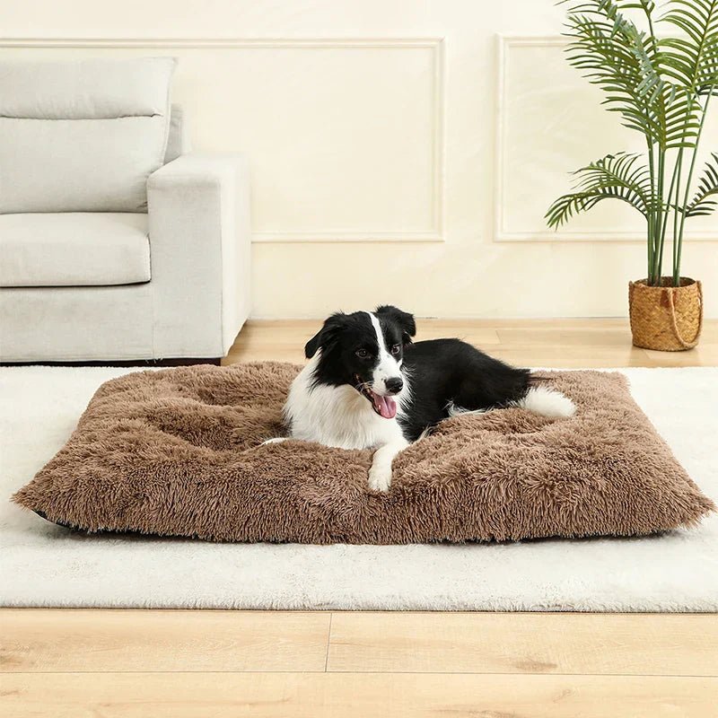 Fluffy Dog Bed - Rectangular Extra Soft Plush Cushion in 3 Colors & 4 Sizes 5