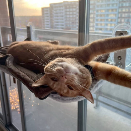  Pawperch-foldable cat hammock for windows & walls-5