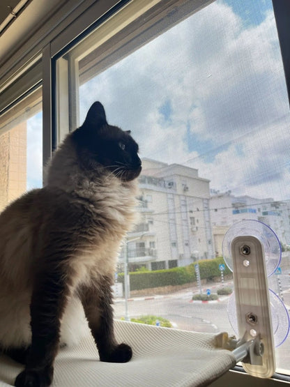 Pawperch – Opvouwbare Kattenhangmat met Muurvriendelijke Bevestiging | Boorloze Vensterzitplaats voor Katten
