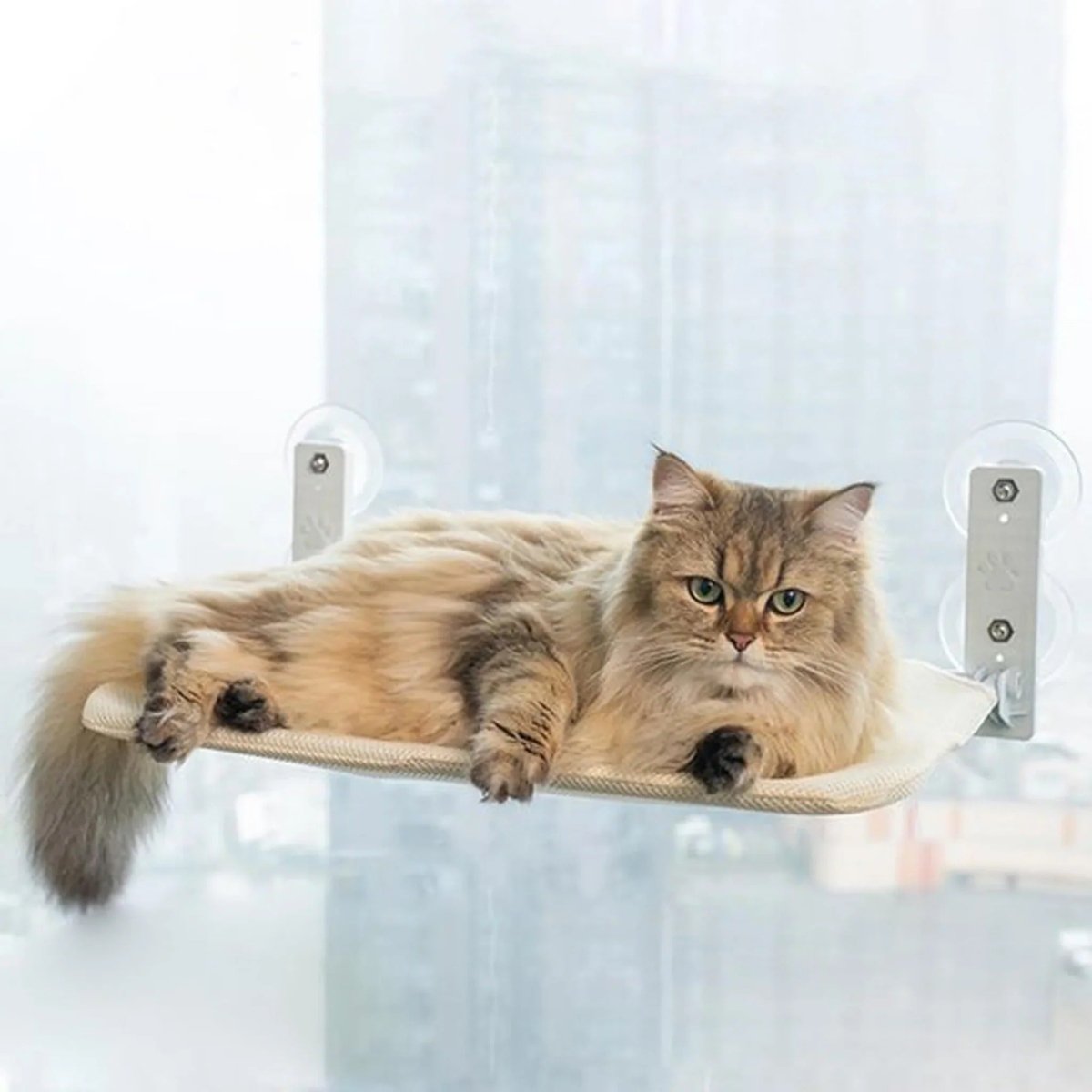Pawperch – Opvouwbare Kattenhangmat met Muurvriendelijke Bevestiging | Boorloze Vensterzitplaats voor Katten