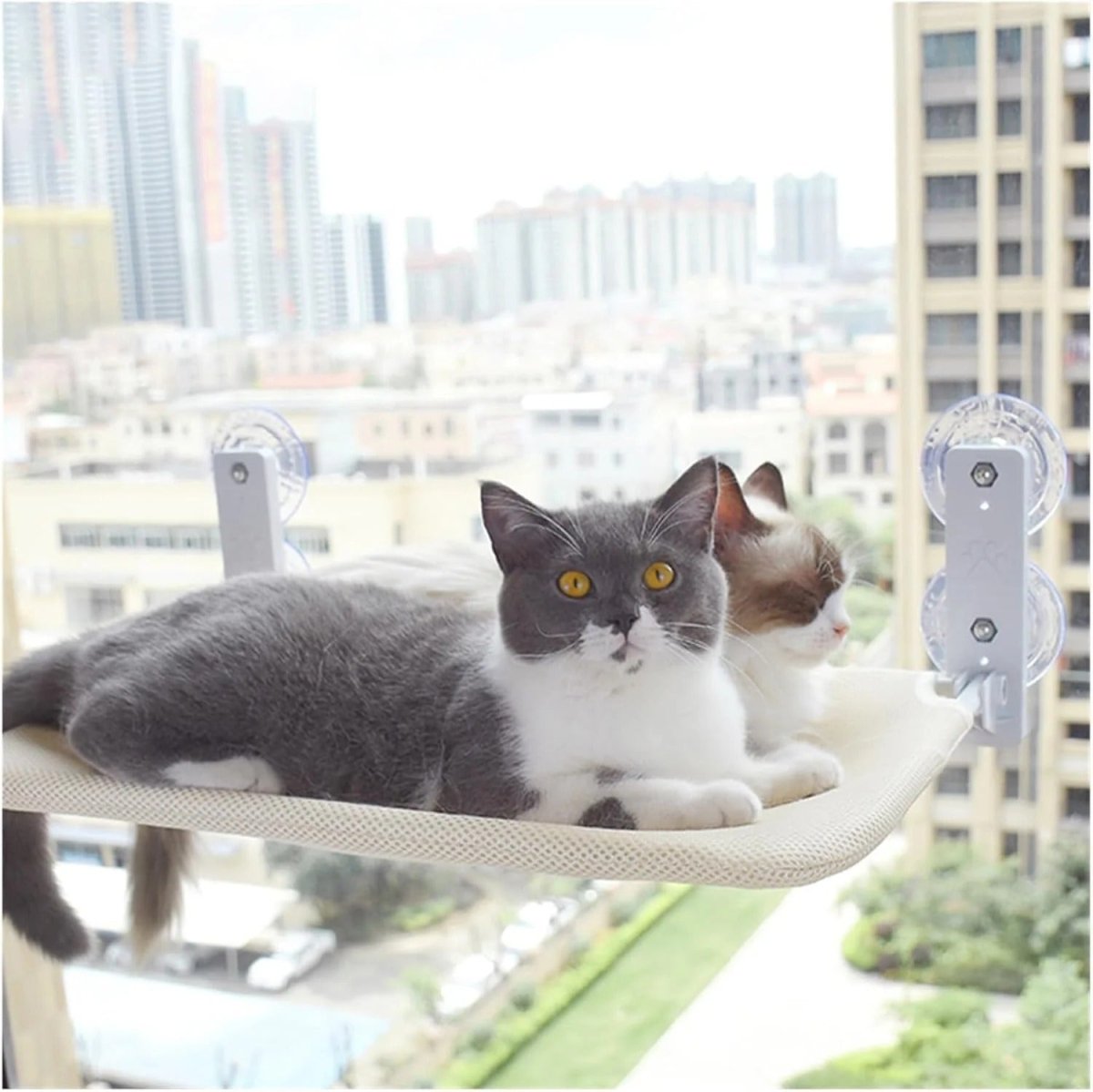 Pawperch – Opvouwbare Kattenhangmat met Muurvriendelijke Bevestiging | Boorloze Vensterzitplaats voor Katten