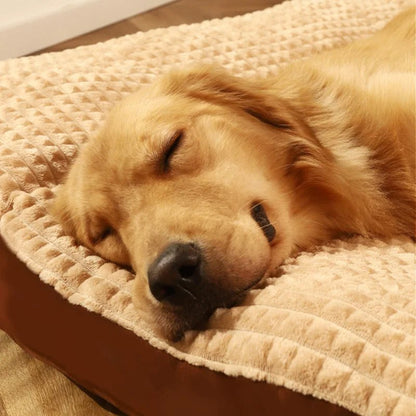 PawRest – Orthopädisches Hundebett mit optimaler Unterstützung & Komfort