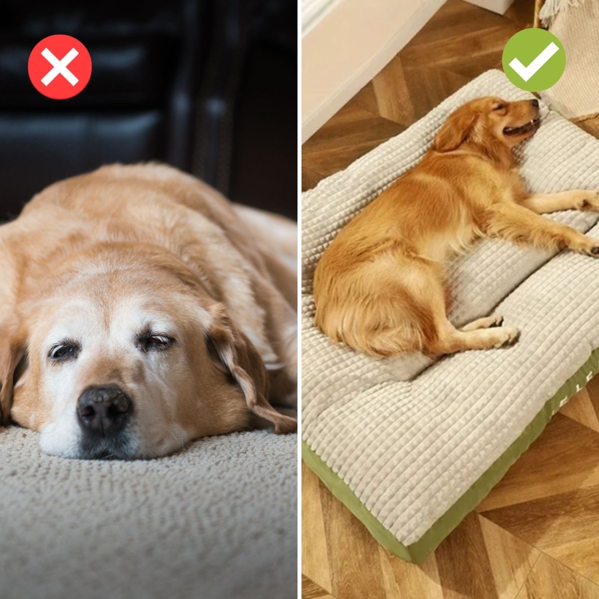 PawRest – Orthopädisches Hundebett mit optimaler Unterstützung & Komfort