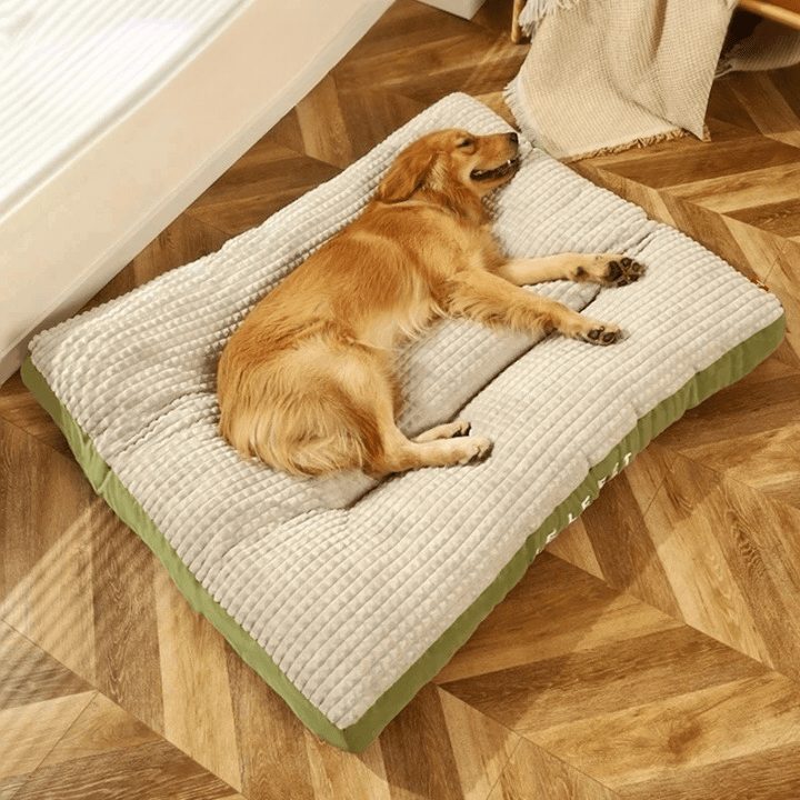 PawRest – Orthopädisches Hundebett mit optimaler Unterstützung & Komfort