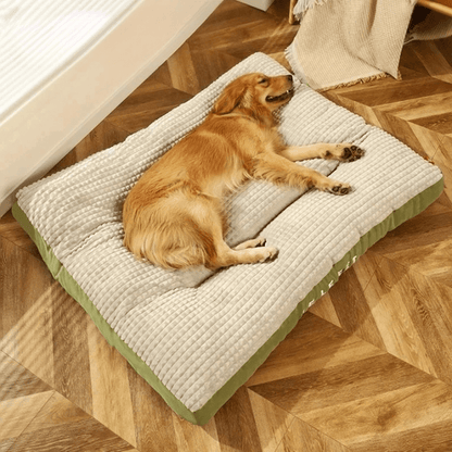 PawRest – Orthopädisches Hundebett mit optimaler Unterstützung & Komfort