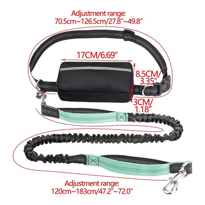 Hands-Free Bungee Dog Leash - Adjustable Length, Shock-Absorbing, Padded Handles 1