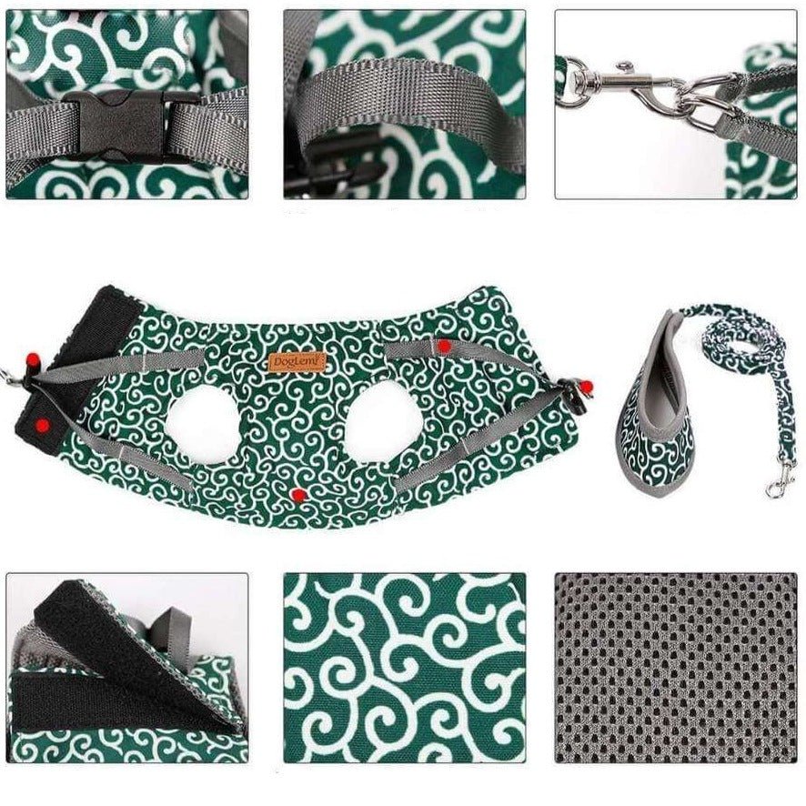 Arnés PAWVENTURE – Conjunto de chaleco para gato con malla transpirable y correa