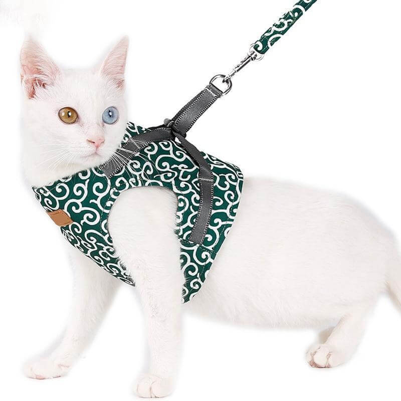 PAWVENTURE HARNESS – Cat Harness Vest Set with Breathable Mesh & Leash
