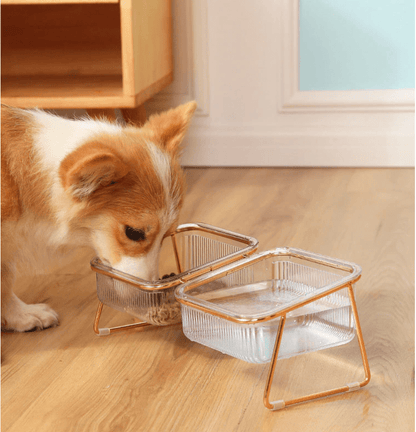  Petchic - increased food bowl for cats & small dogs-5
