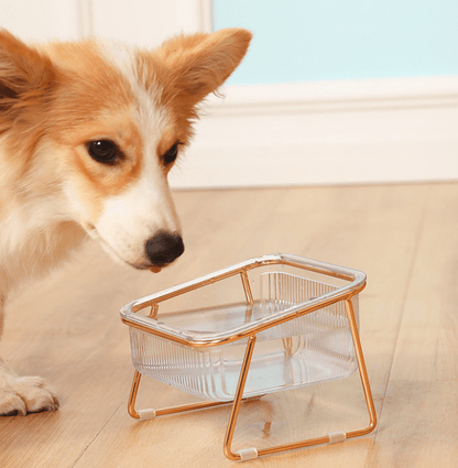  Petchic - increased food bowl for cats & small dogs-3