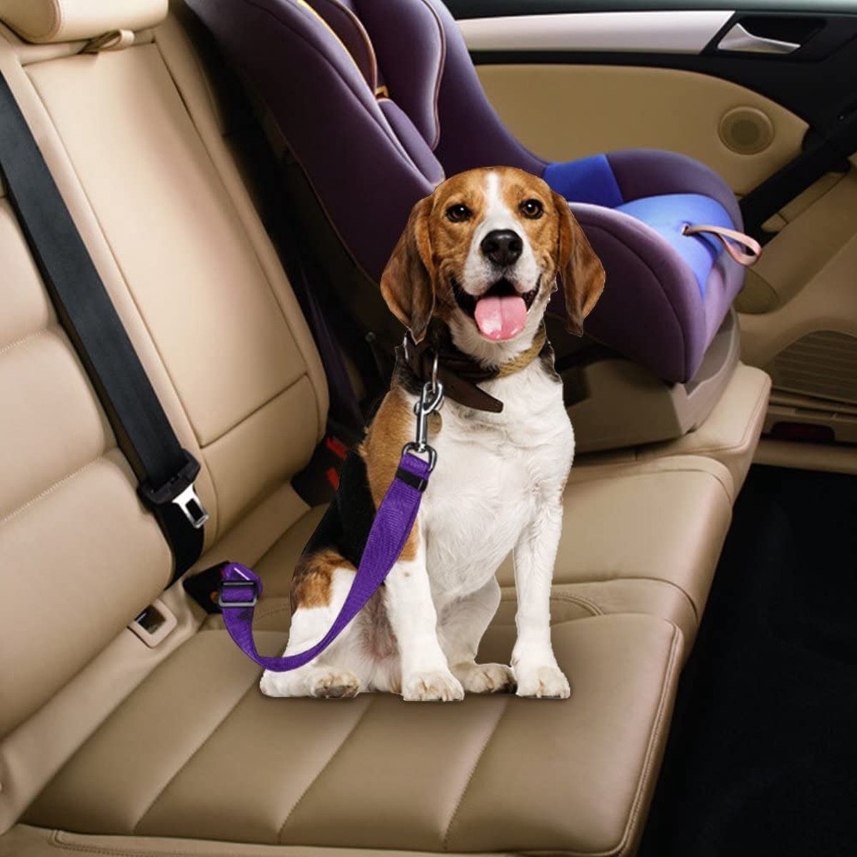  Petecure - adjustable seat belt for pets in the car-5