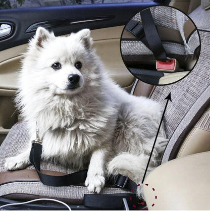  Petecure - adjustable seat belt for pets in the car-6
