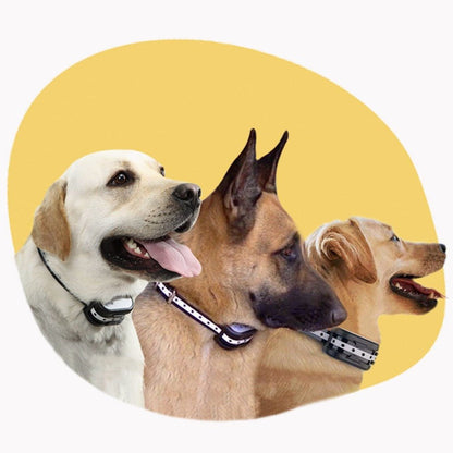 PETGUARD 300 – Sistema inalámbrico de valla para perros y collar de adiestramiento