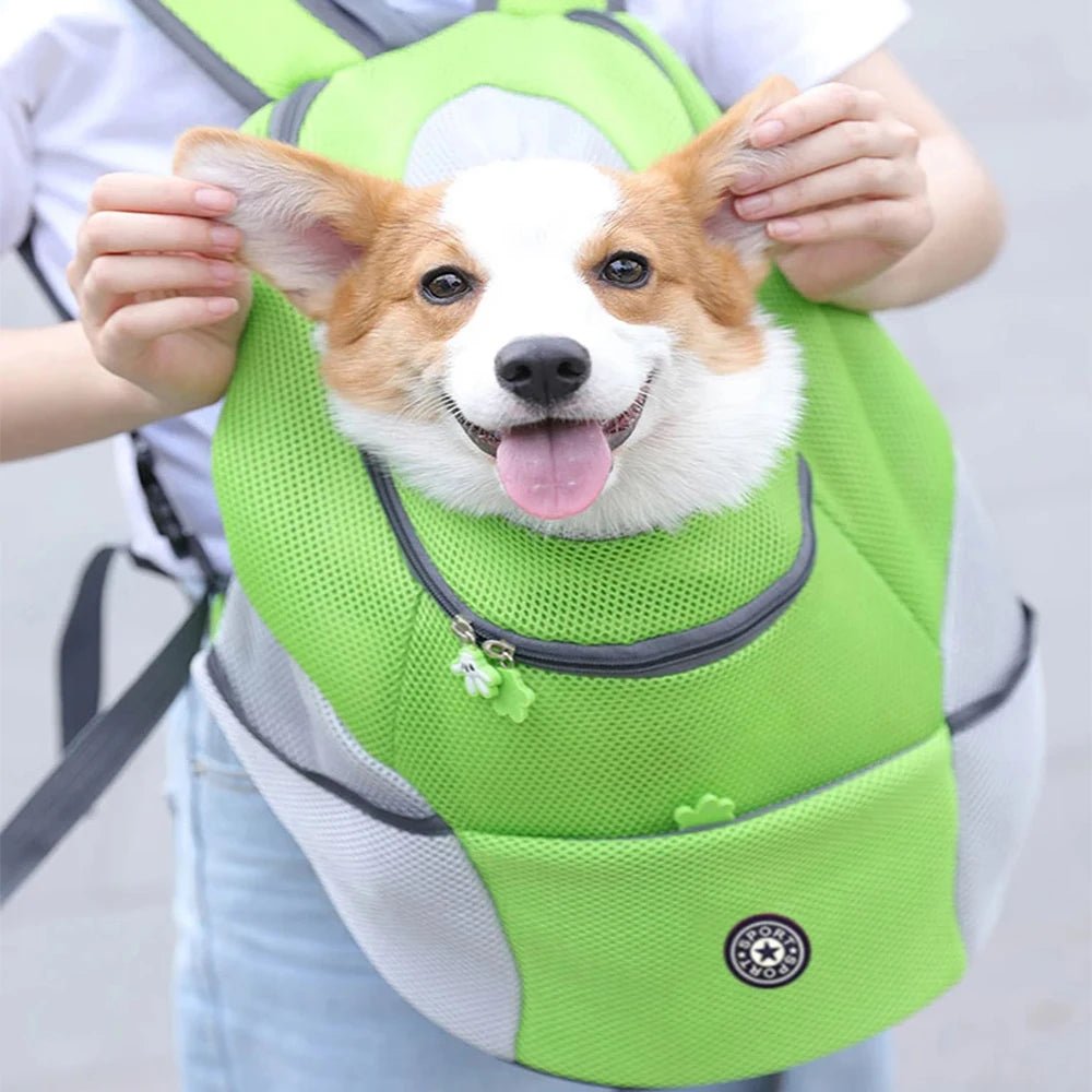 PAWCARRY – Pet Carrier Backpack with Adjustable Straps, Safety Hook & Ventilation 3