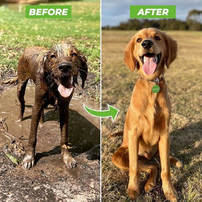  Petwash 360 ° pet bath spray - user -friendly & effective for a stress -free bathing experience-5