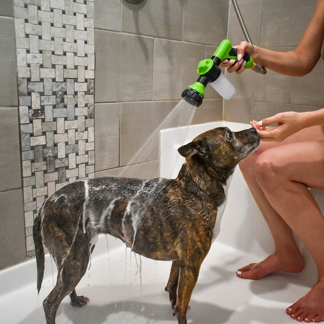  Petwash 360 ° pet bath spray - user -friendly & effective for a stress -free bathing experience-6