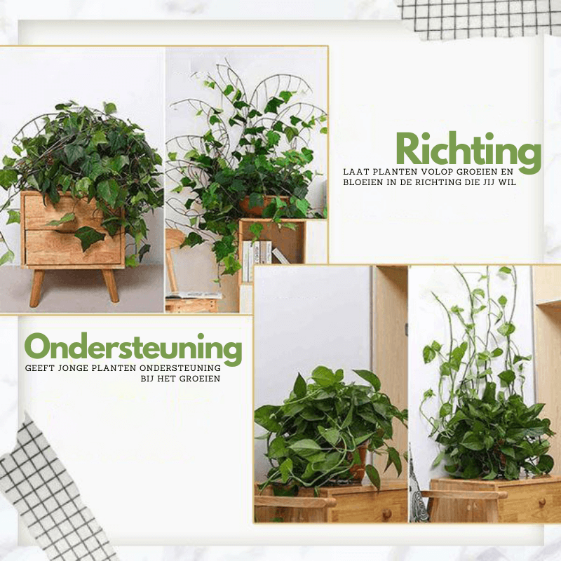 Climbing Plant Guide Clips – Adjustable Support for Vertical Gardens – 10 or 50 Pack Options in Green or White-3