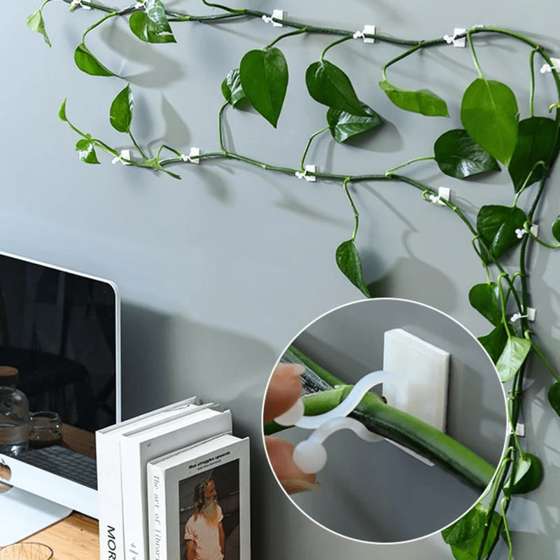 Climbing Plant Guide Clips – Adjustable Support for Vertical Gardens – 10 or 50 Pack Options in Green or White-1