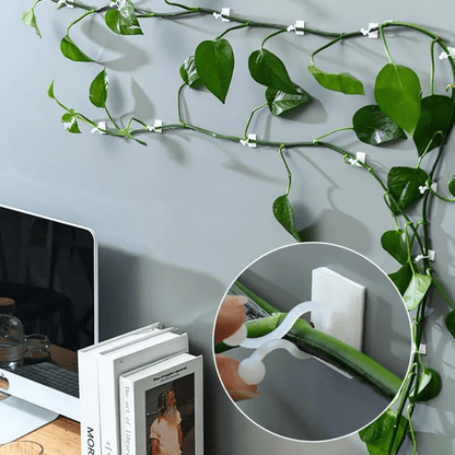 Climbing Plant Guide Clips – Adjustable Support for Vertical Gardens – 10 or 50 Pack Options in Green or White-1