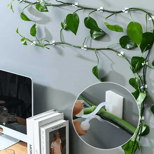 Climbing Plant Guide Clips – Adjustable Support for Vertical Gardens – 10 or 50 Pack Options in Green or White-1