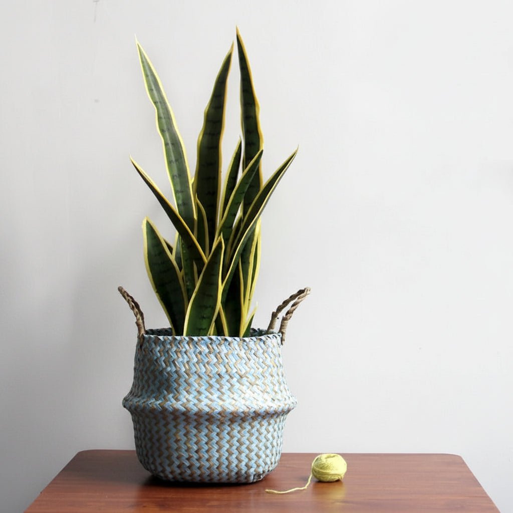 FLORAHOME – Boho Handmade Wicker Storage Basket Collapsible Flower Pot 1