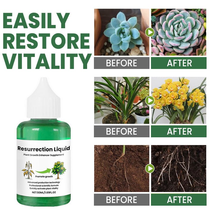 PLANTVITAL – Flüssigkeit für Wachstum & Regeneration für stärkere, gesündere Pflanzen