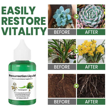 PLANTVITAL – Flüssigkeit für Wachstum & Regeneration für stärkere, gesündere Pflanzen