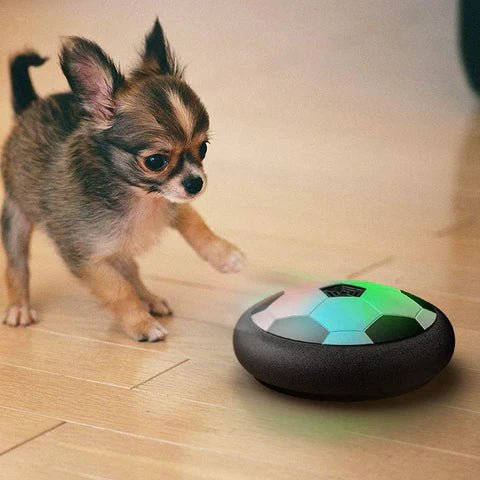  Playball Pro - interactive dog play ball with unpredictable movements-5