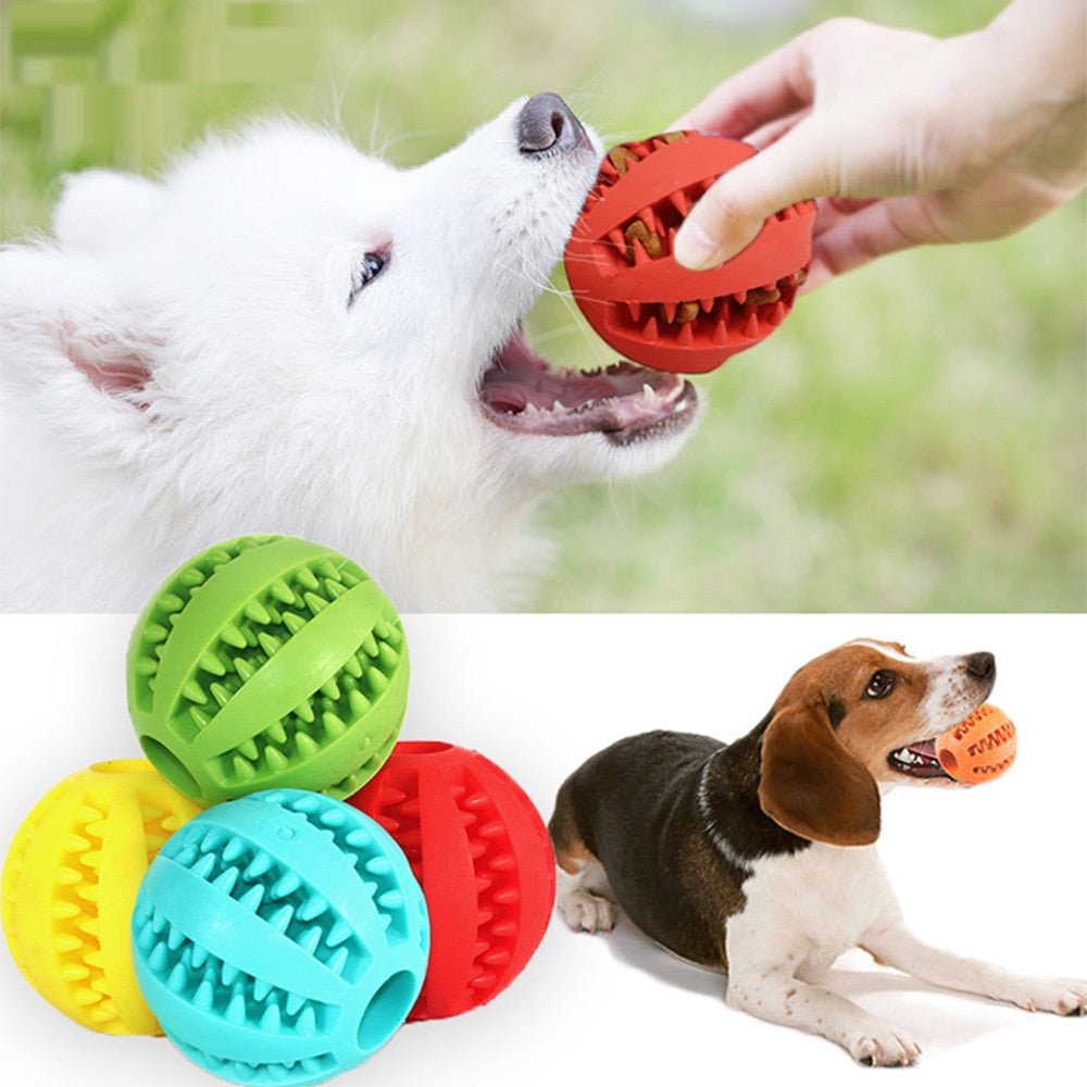  Playmaster-interactive dog toy with dental care effect-4
