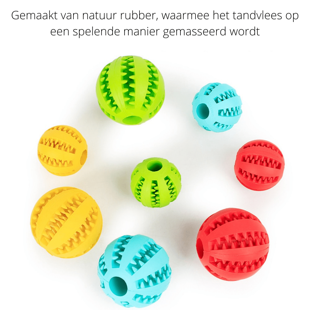  Playmaster-interactive dog toy with dental care effect-6