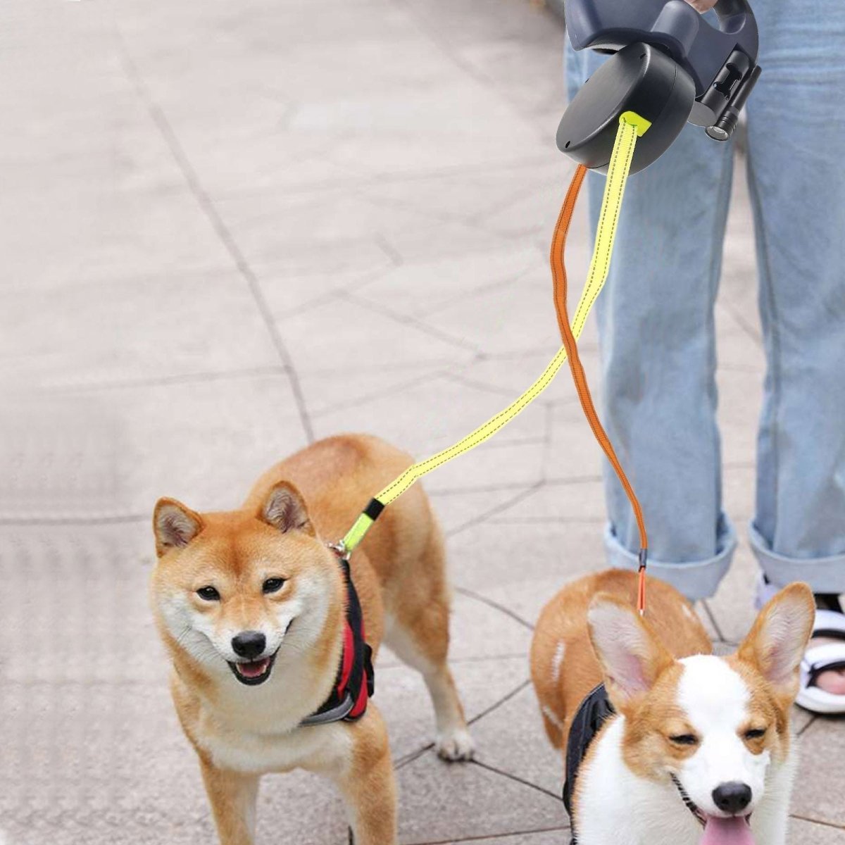  Propet Duo - roller leash for two dogs with integrated flashlight-4