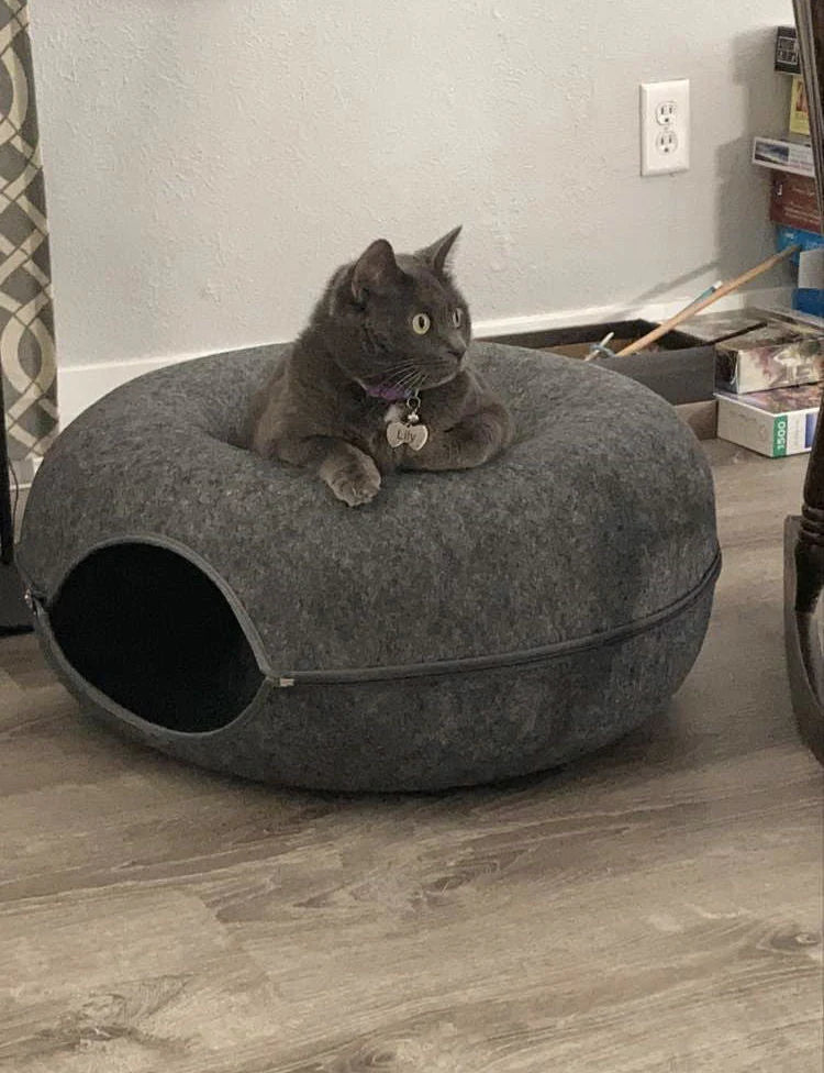 PURRFECT THÉ – Tunnel di Lusso per Gatti con Grotta per Dormire per Relax e Gioco