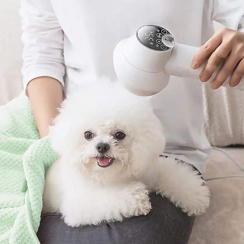  Purrfectdry-Leiser 2-in-1 hair dryer & brush for pets-4