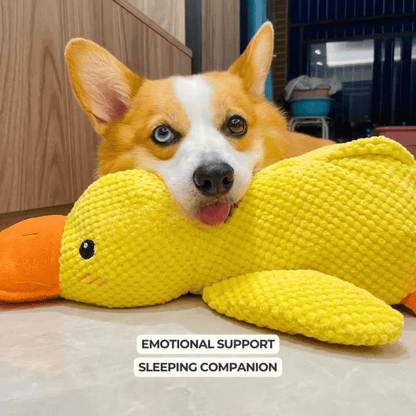 QUACKLY – Beruhigendes Enten-Plüschtier für Hunde