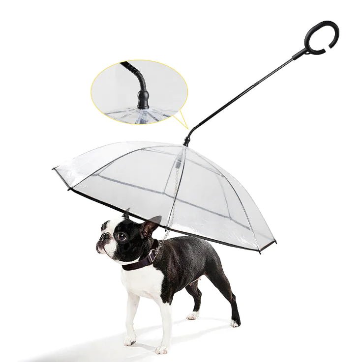 Rainguard Umbrella - transparent umbrella for dogs-1