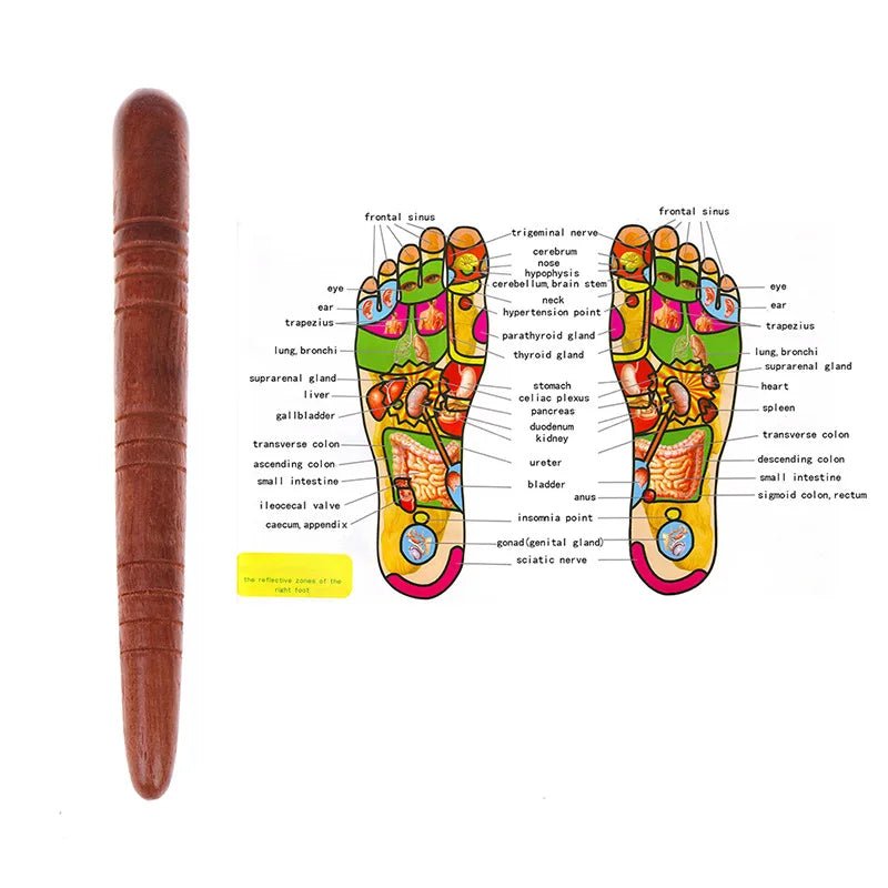 REFLEXWOOD – Natural Wooden Acupoint Massage Stick for Foot Reflexology & Meridian Therapy 4