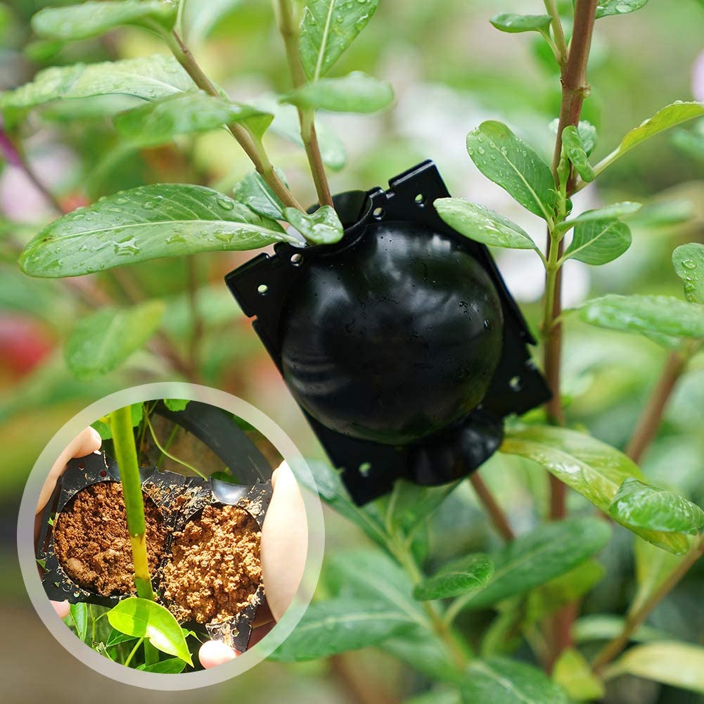 Rootball Plant Root Grow Box - 5 Pieces for Easy Cloning and Plant Propagation, Reusable Plastic, Black-6