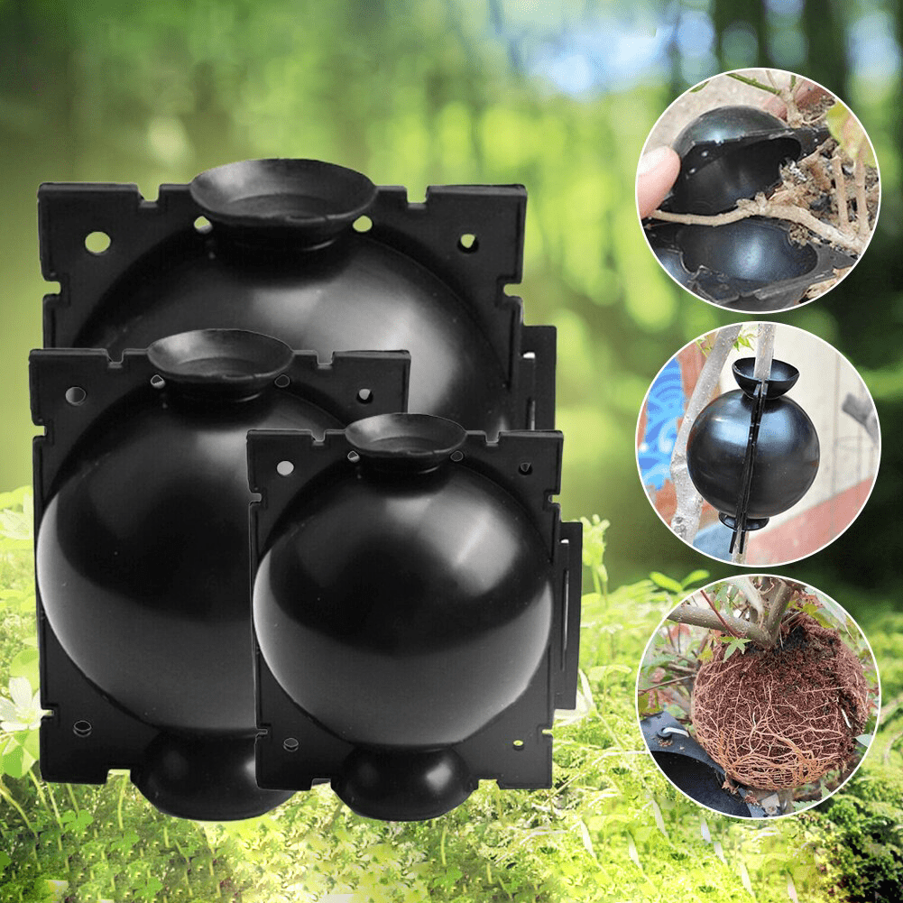 Rootball Plant Root Grow Box - 5 Pieces for Easy Cloning and Plant Propagation, Reusable Plastic, Black-1