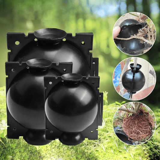 Rootball Plant Root Grow Box - 5 Pieces for Easy Cloning and Plant Propagation, Reusable Plastic, Black-1