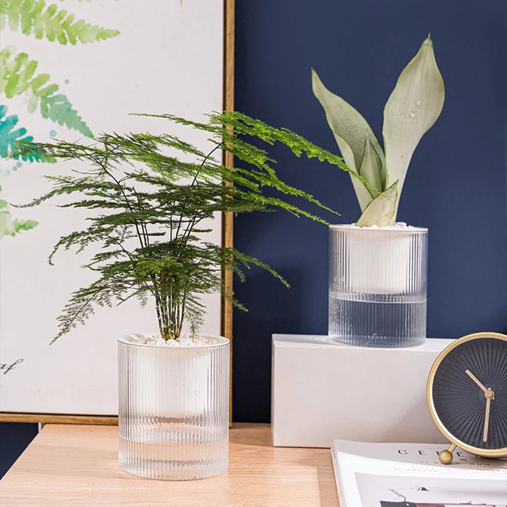 ROOTWISE – Indoor Self-Watering Planter for Effortless Hydroponic Care