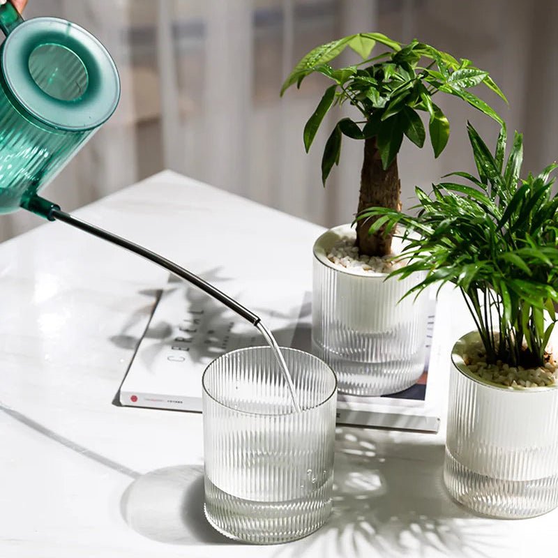 ROOTWISE – Indoor Self-Watering Planter for Effortless Hydroponic Care