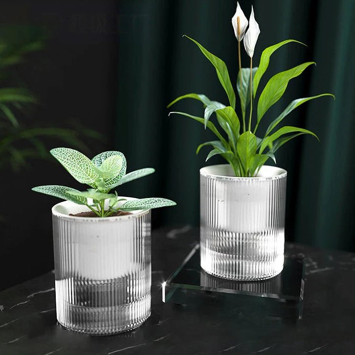 Indoor Self-Watering Flowerpot for Succulents & Hydroponic Plants - Space-Saving Design 0