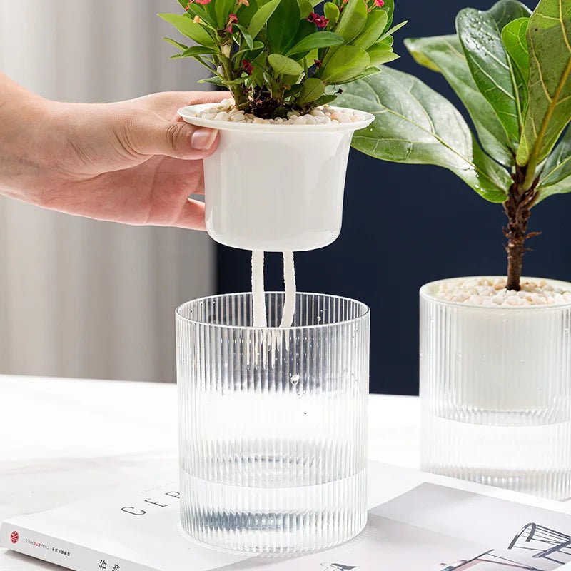 Indoor Self-Watering Flowerpot for Succulents & Hydroponic Plants - Space-Saving Design 3