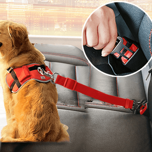  Safepaw - adjustable seat belt for dogs in the car-1