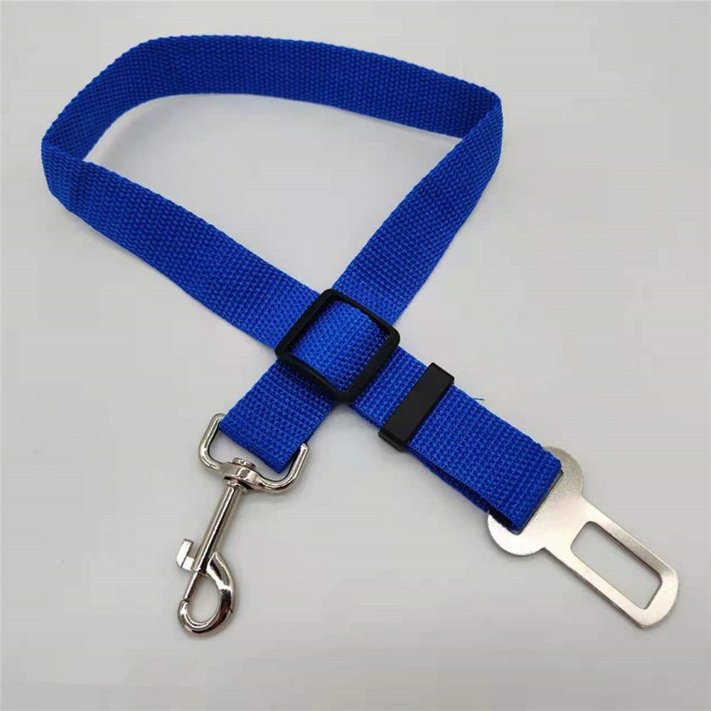 Variant image for Blue