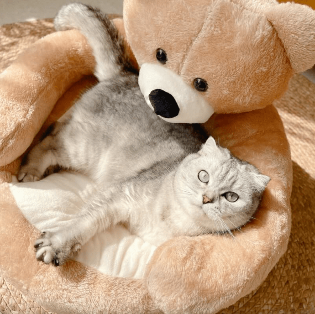  Samiya Cat Bed - cozy cat bed with a feeling of security and washable-4